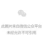 金锑体育